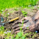 5 Panduan Perawatan Tangan untuk Pecinta Berkebun