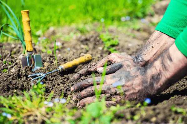 5 Panduan Perawatan Tangan untuk Pecinta Berkebun