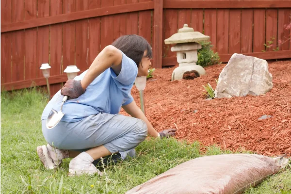 7 Cara Menghindari Cedera Pinggang Saat Berkebun 7 Cara Menghindari Cedera Pinggang Saat Berkebun