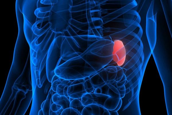 5 Tips Menjaga Limpa Saat Puasa atau Diet Ketat Pilih Makanan dengan Nutrisi Padat
