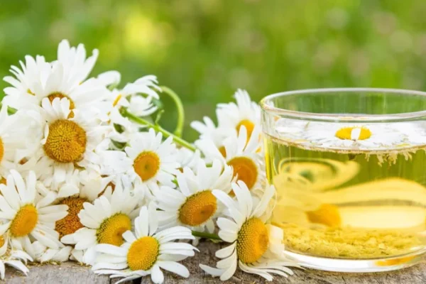 5 Minuman Herbal yang Cocok untuk Menenangkan Suasana Hati 5 Minuman Herbal yang Cocok untuk Menenangkan Suasana Hati