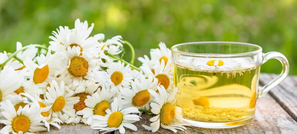 5 Minuman Herbal yang Cocok untuk Menenangkan Suasana Hati
